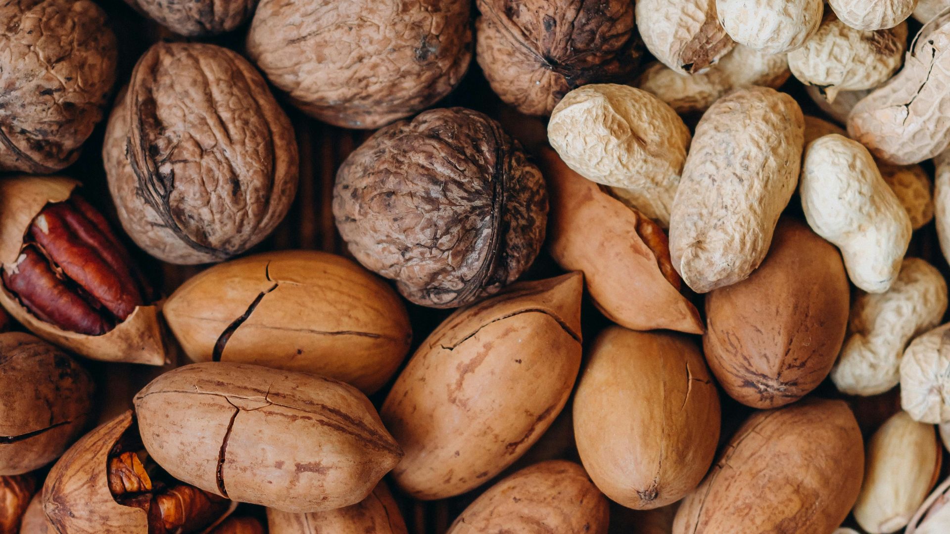 brown and beige nut lot