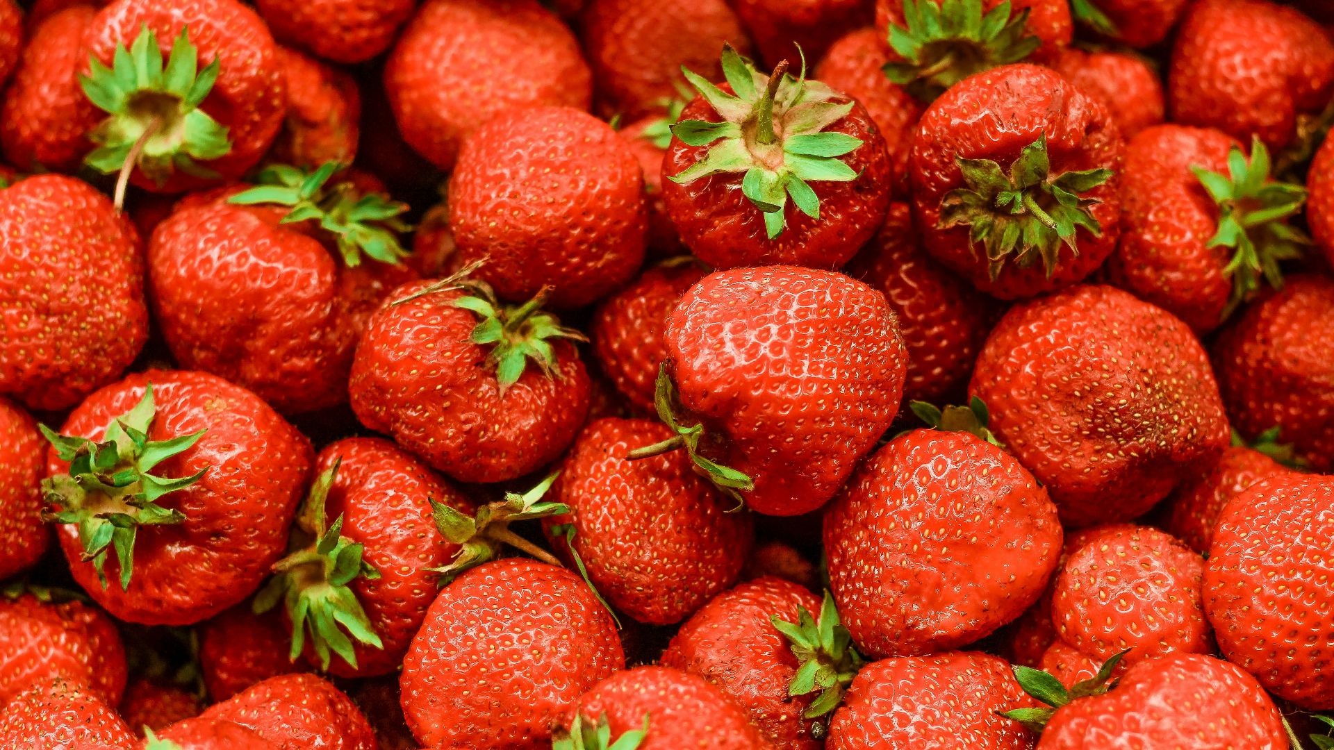 strawberry lot