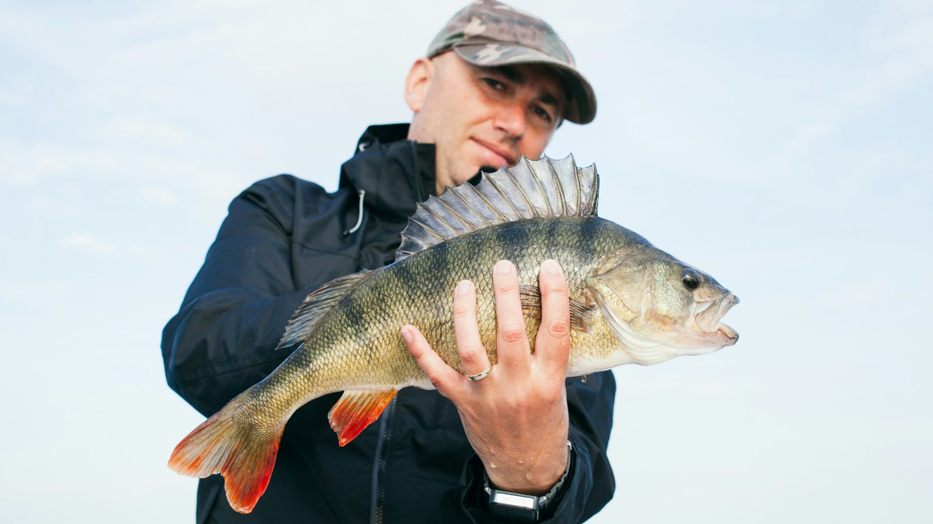 man holding grey fish with ocean background