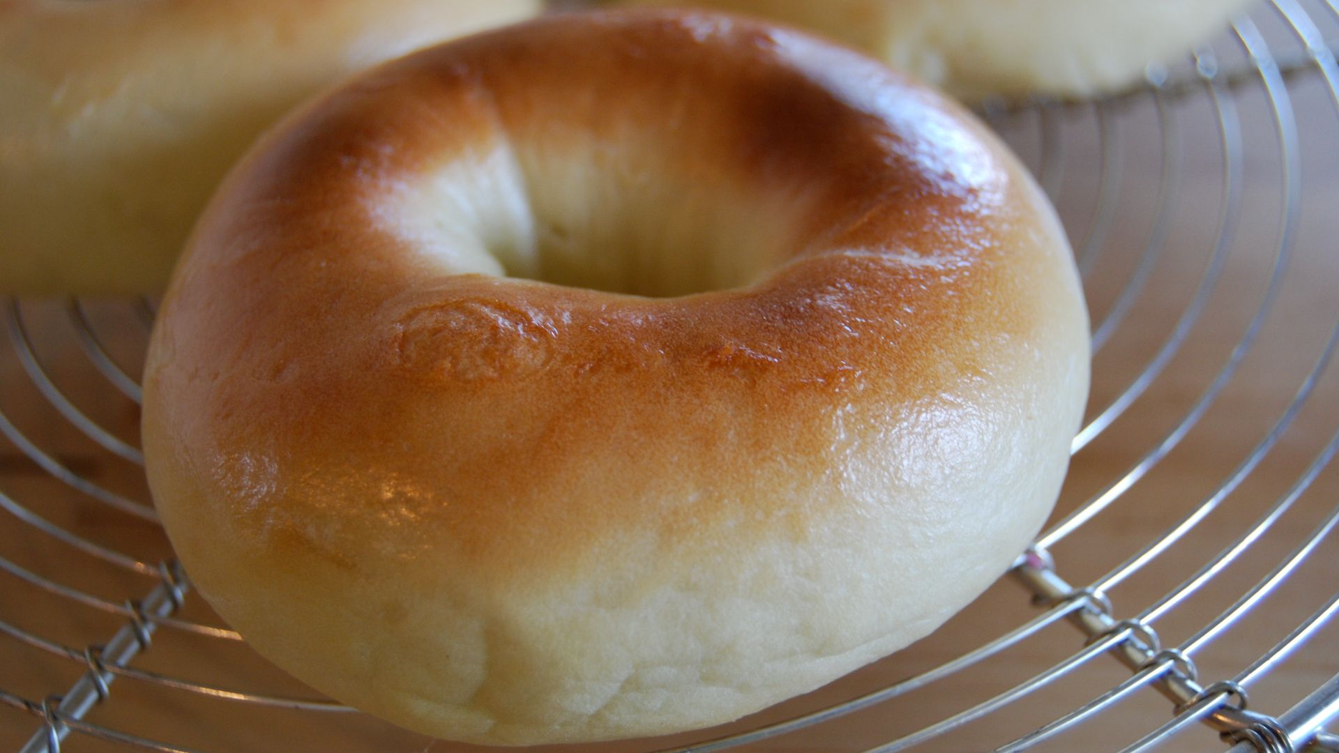 File:Plain bagel (2884521776).jpg