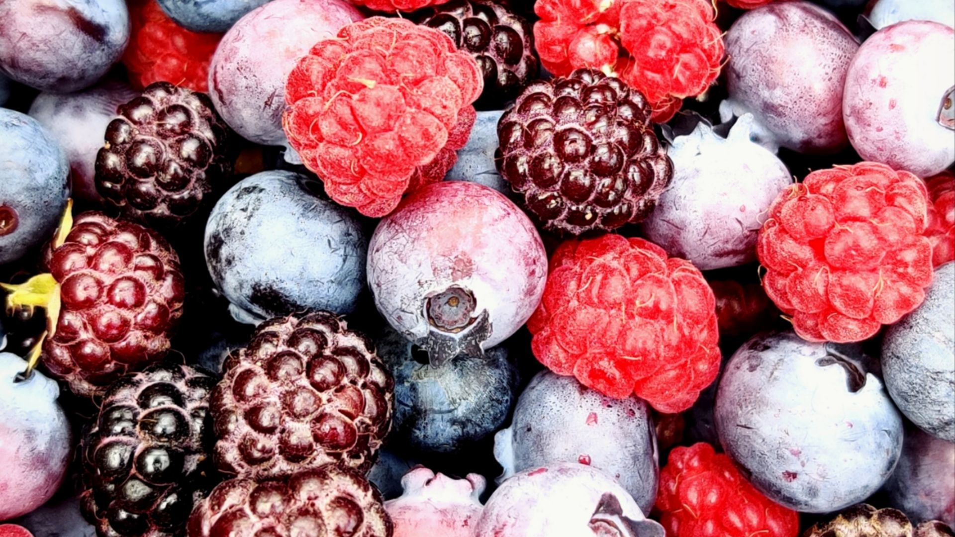 red and black berries on black surface