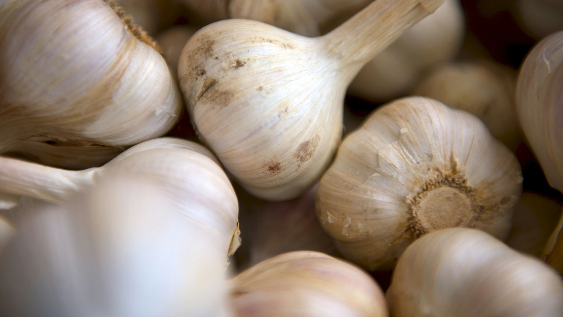 selective focus photography of onion