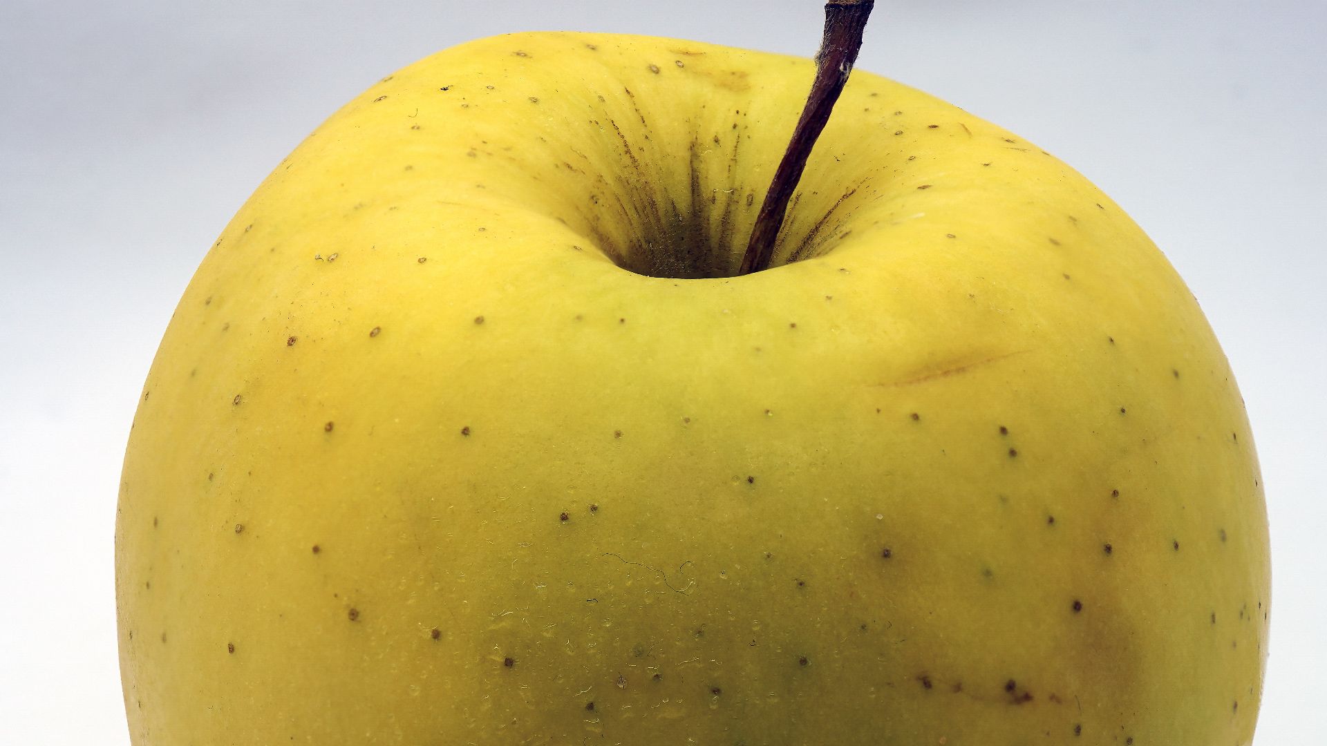 File:Golden Delicious apple 2021 (2).jpg