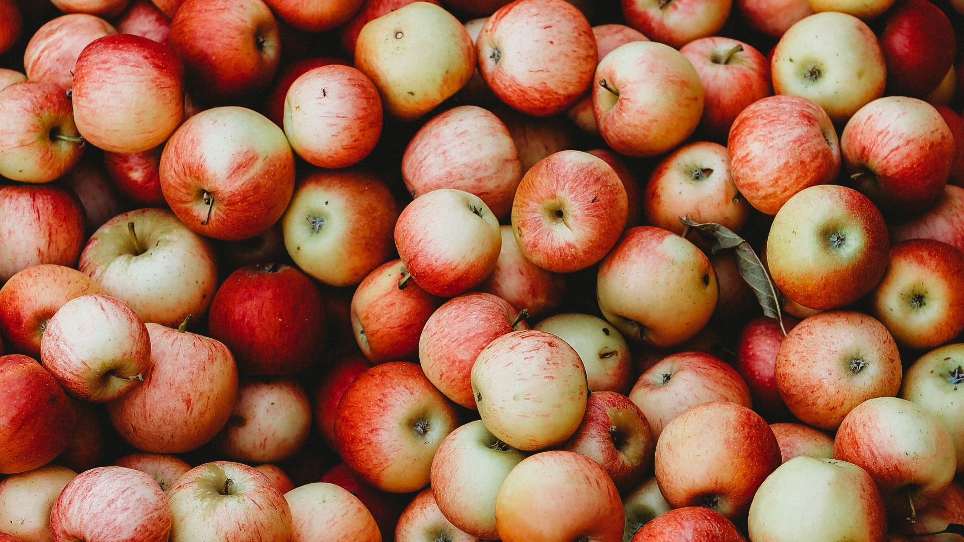 red round fruits on brown wooden table