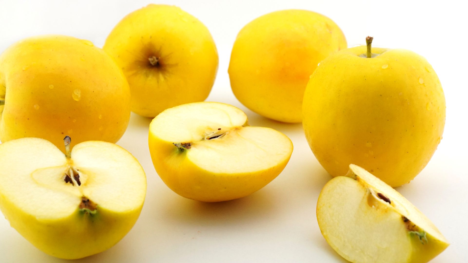 File:20211125 opal® 032 EN.jpg