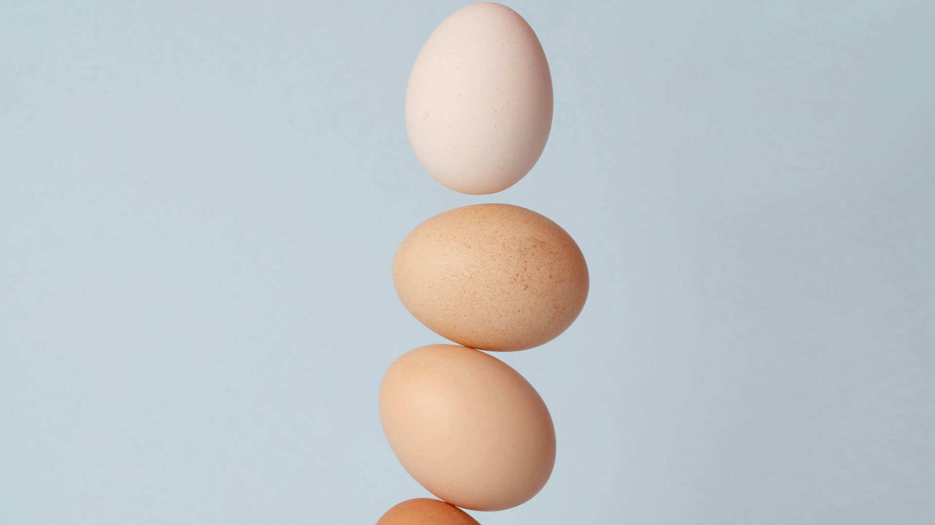 brown and white eggs