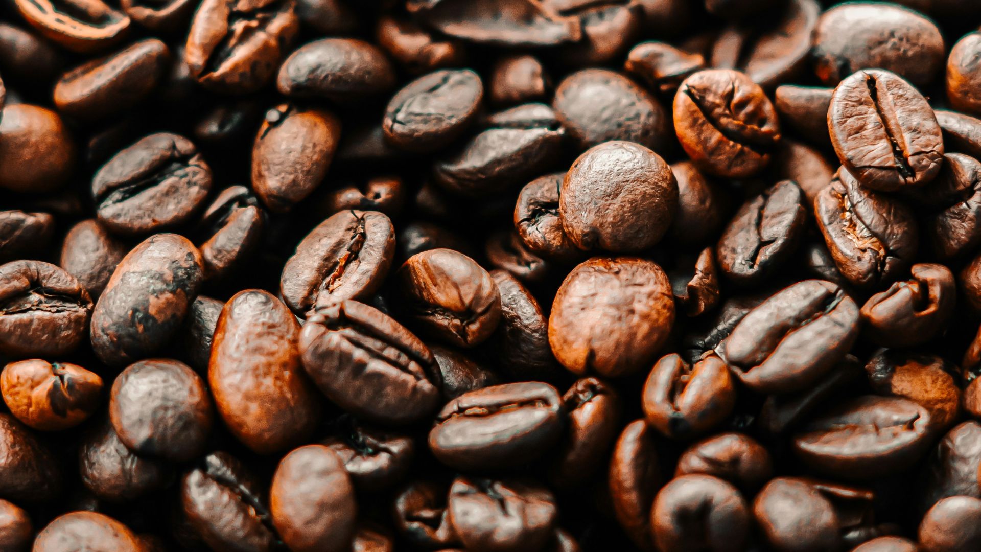 a pile of roasted coffee beans