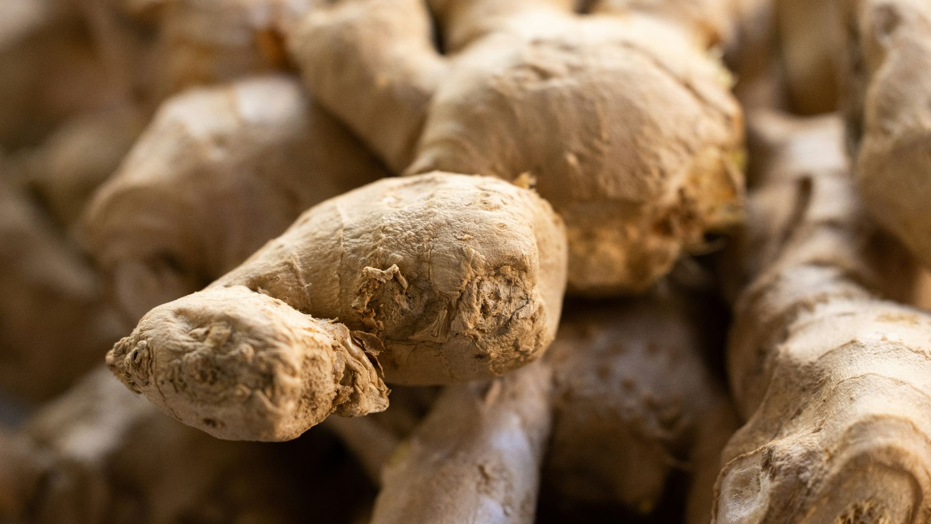 a close up of a bunch of ginger roots