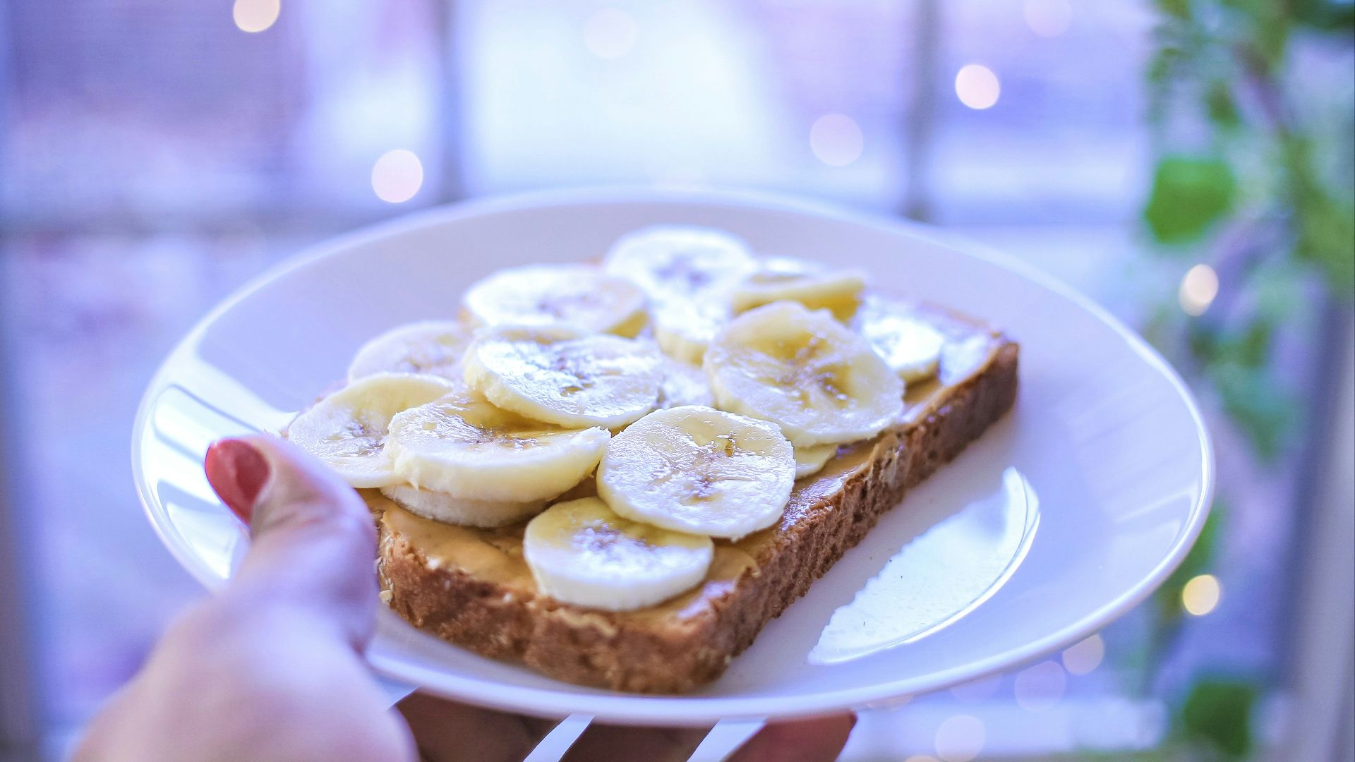 person holding brown bread on white ceramic plate