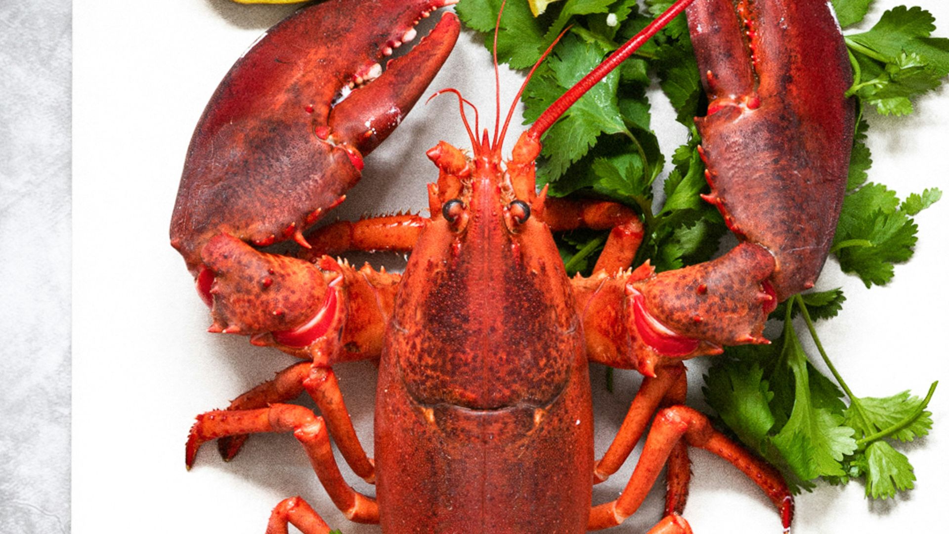 a lobster on a plate with lemons and parsley