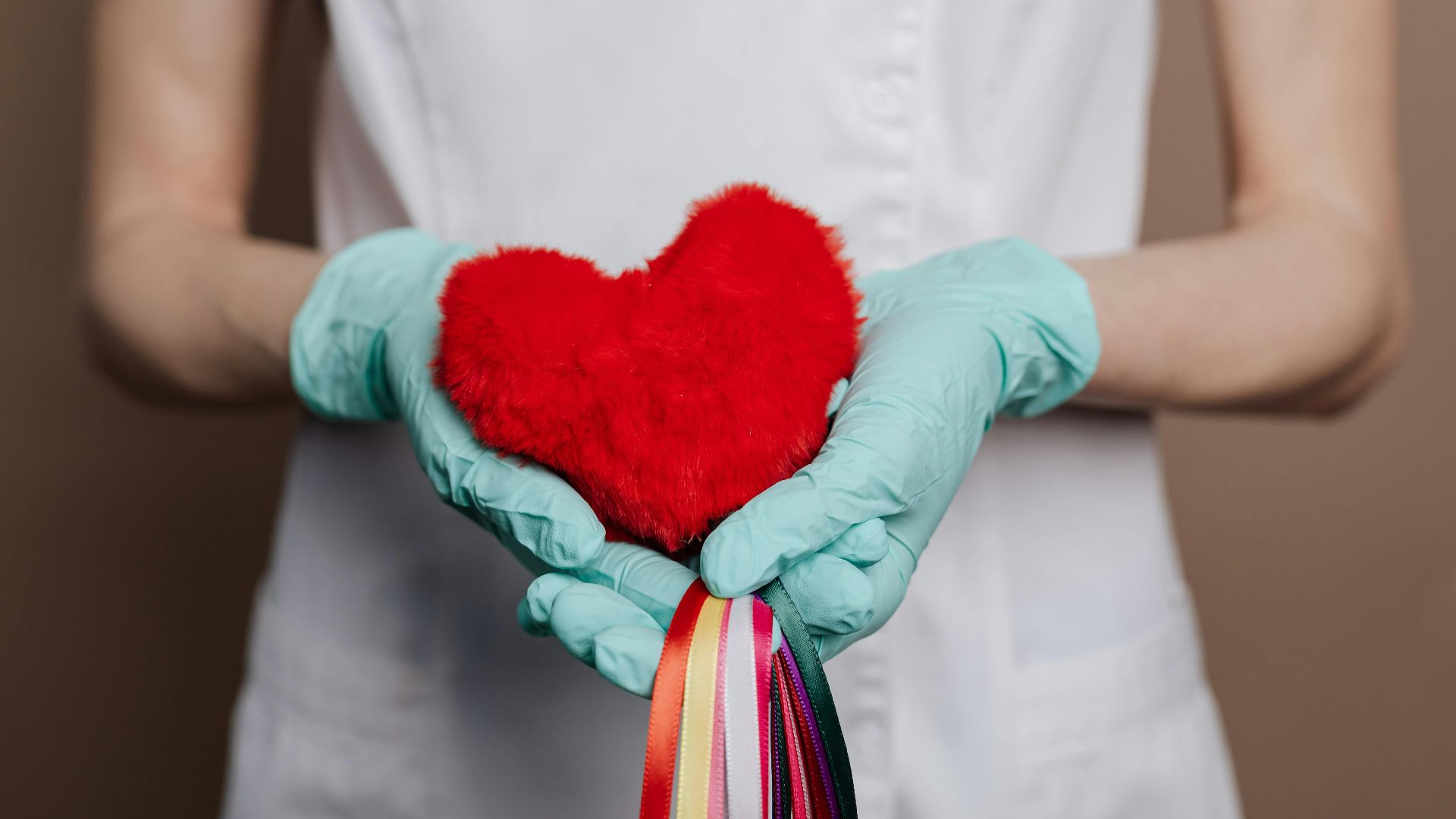 Photo By: Kaboompics.com