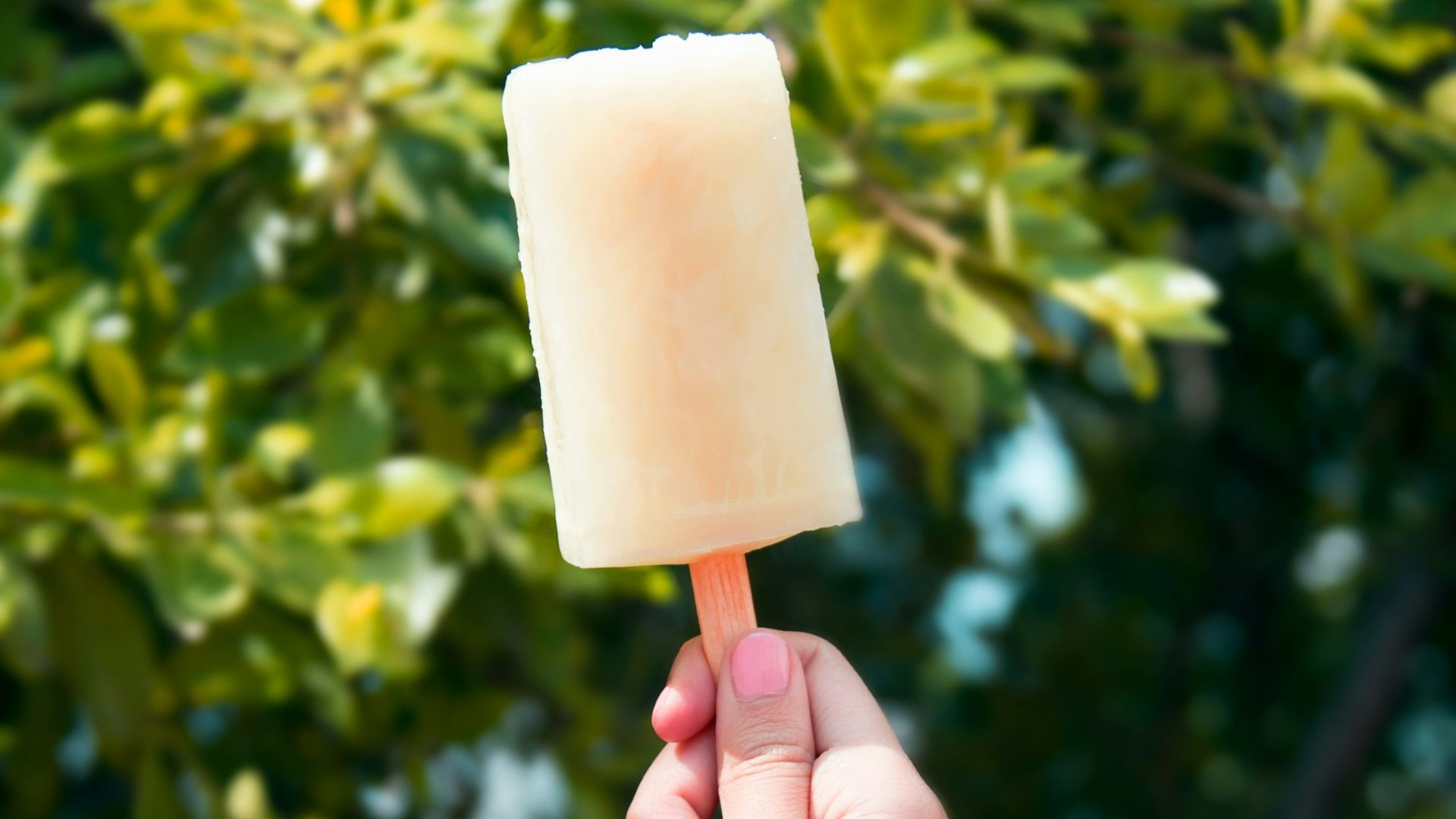 person holding popsicle