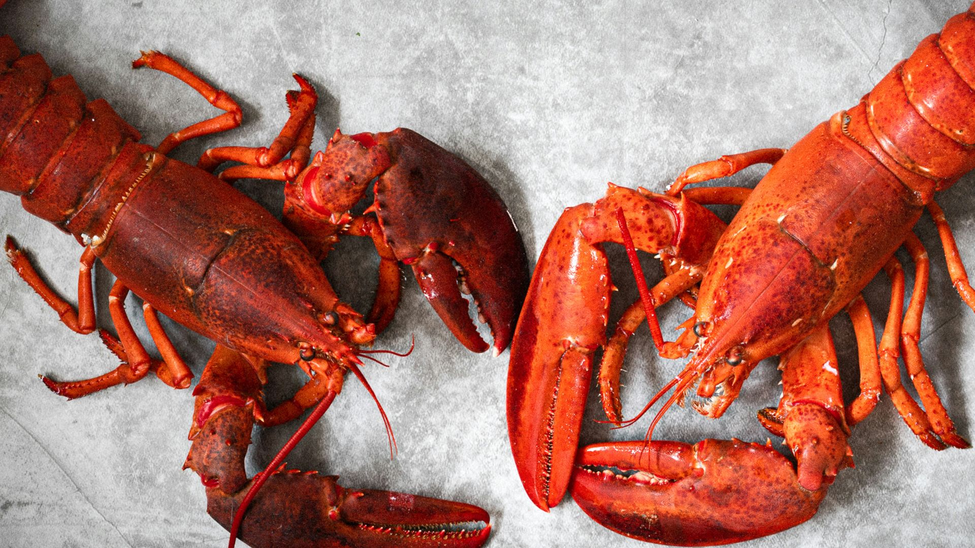 a couple of lobsters laying on top of a table