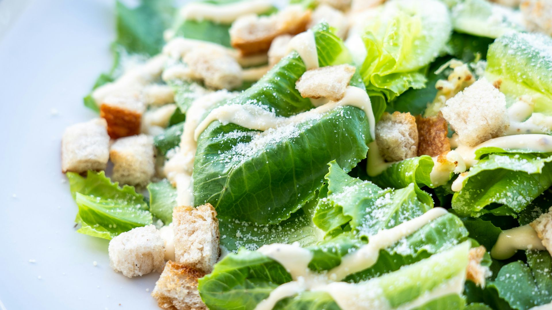closed photography of vegetable salad with croutons in plate