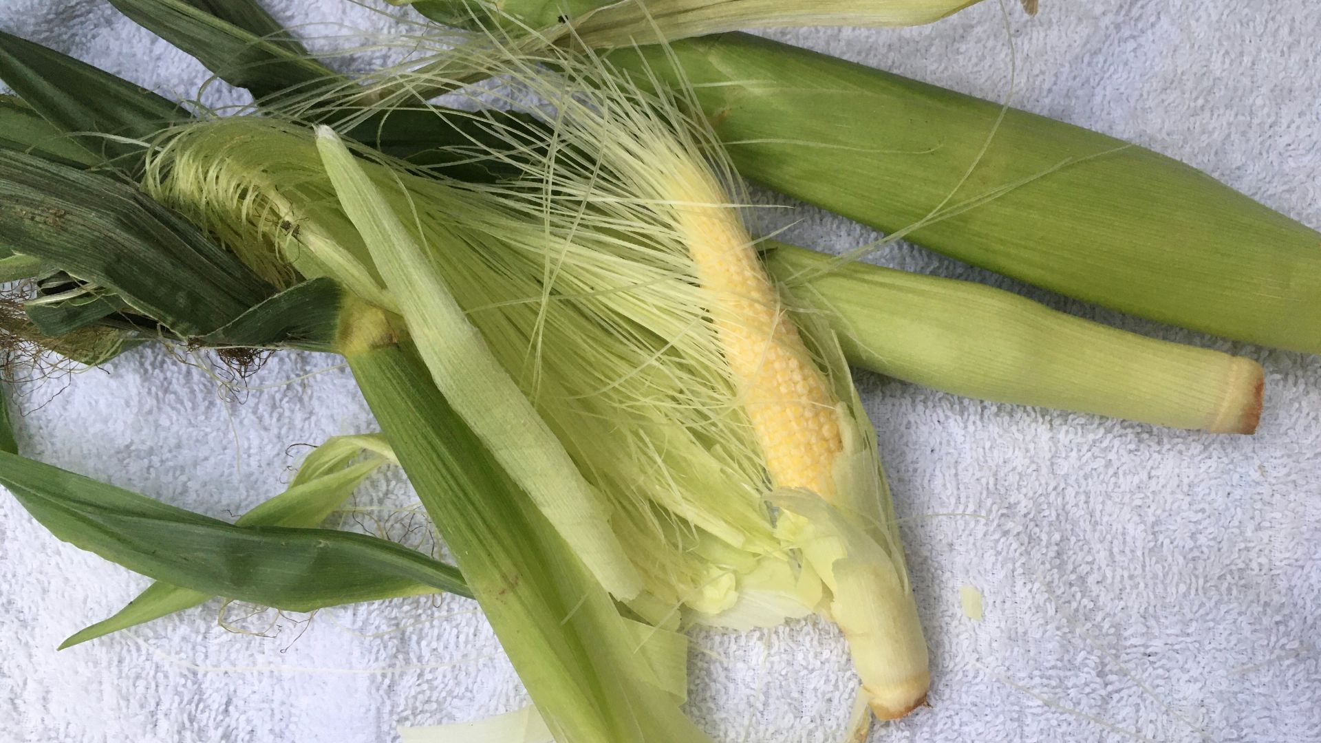 File:Baby corn still in husks - Tokyo - June 3 2021.jpeg