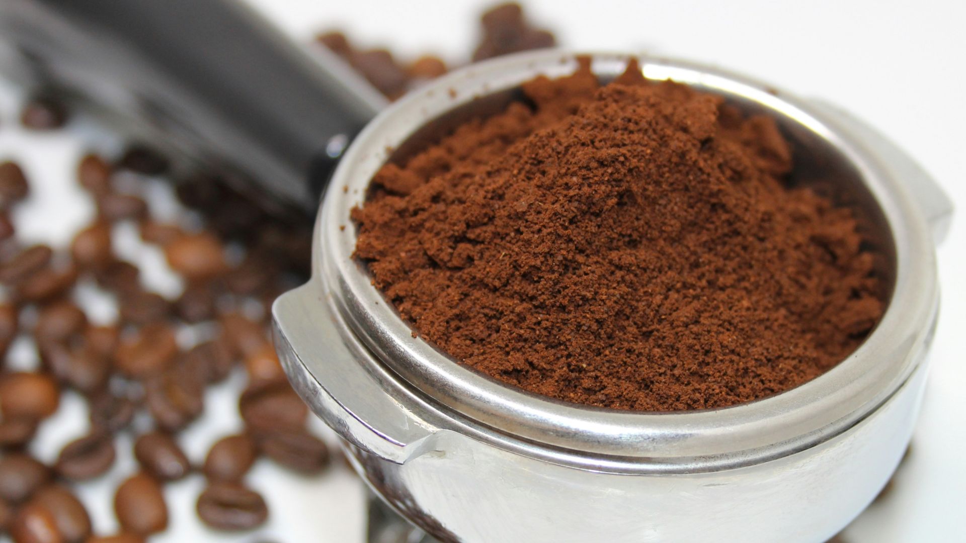 coffee beans on white ceramic mug