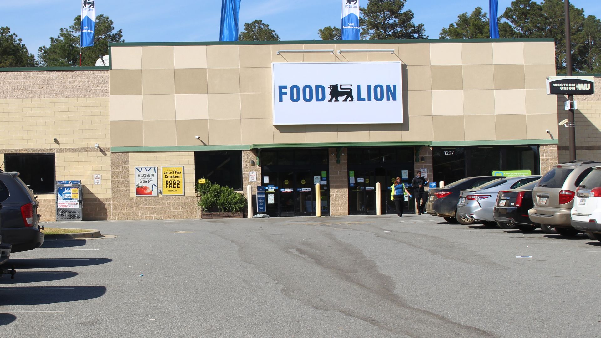 File:Food Lion, Quitman.jpg