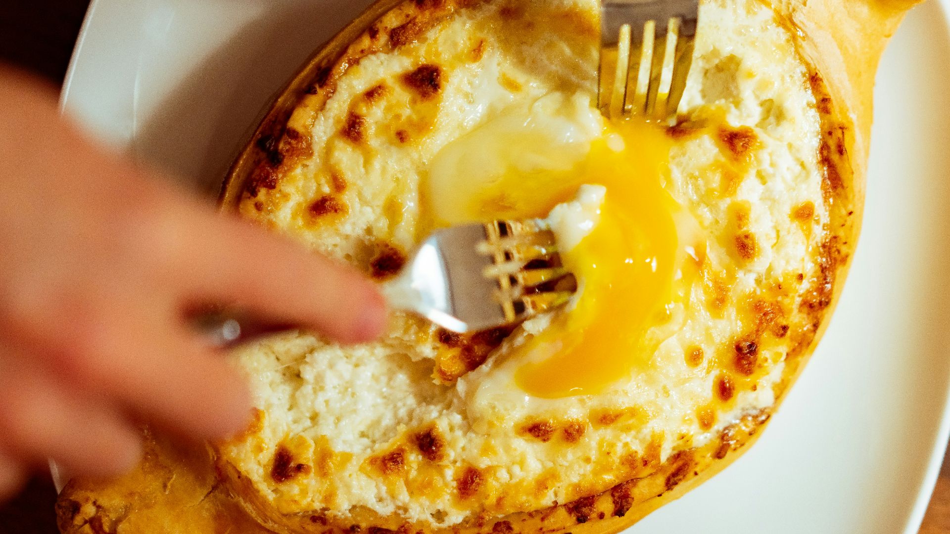 a person holding a fork over a plate of food