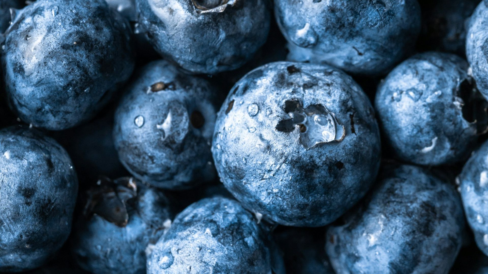 grayscale photography of round fruits