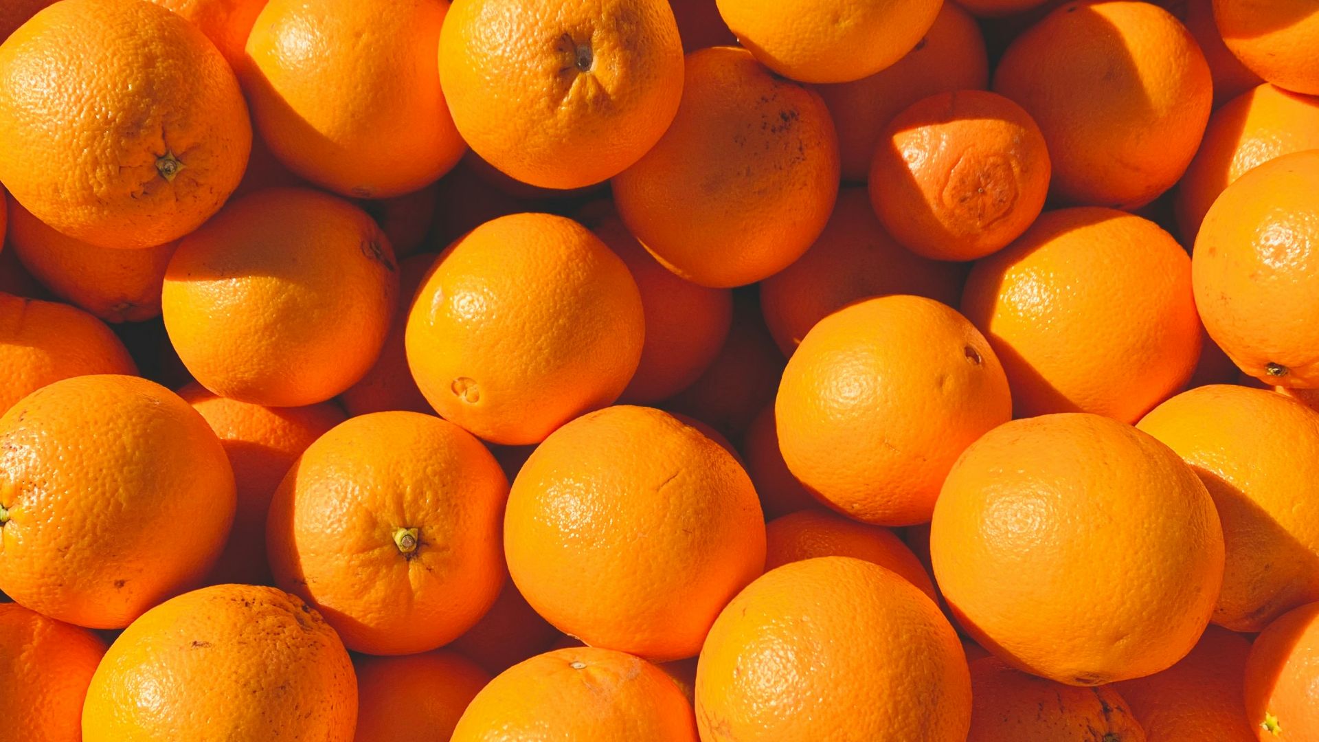 orange fruits on white ceramic plate