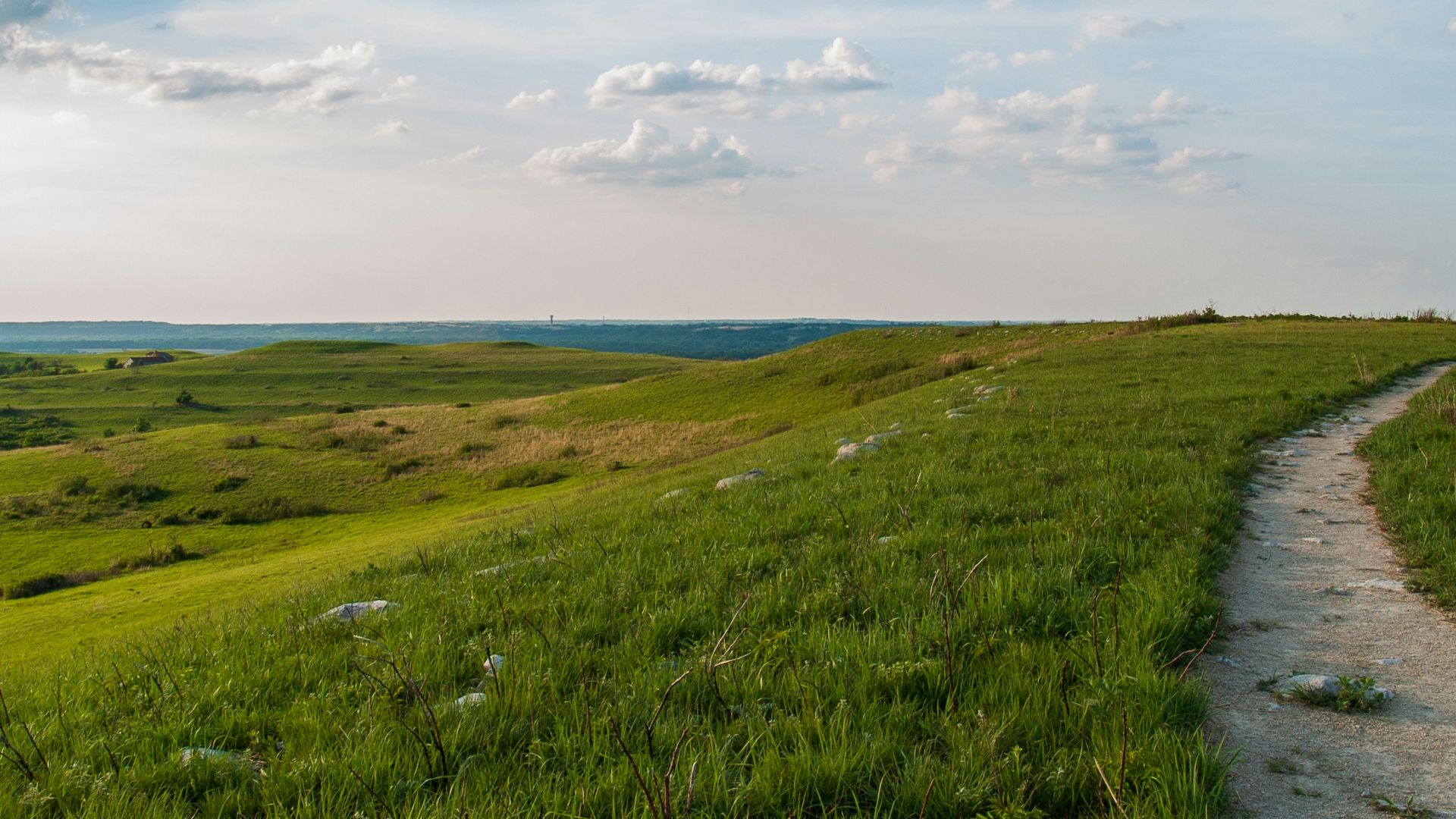 green grass field under blue sky during daytime