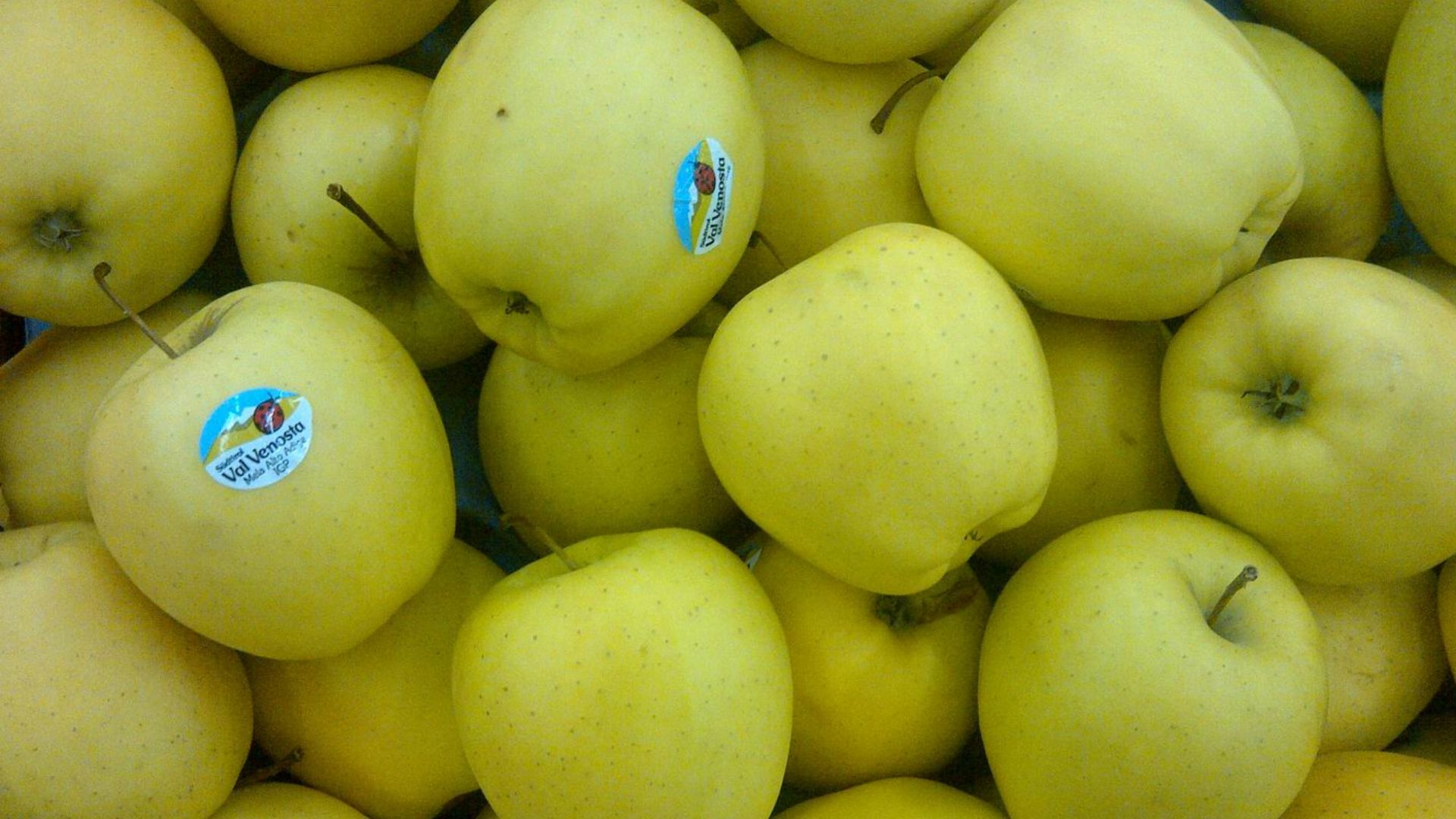 File:Golden Apple-R.jpg