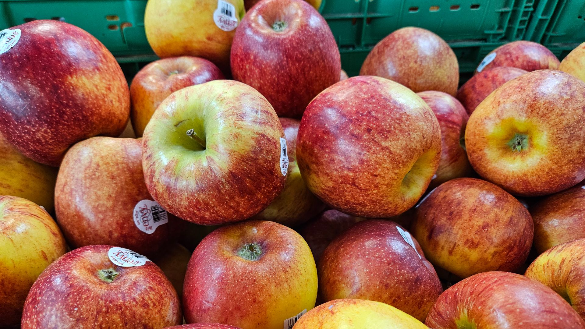 File:Envy apples 20250626 163333.jpg