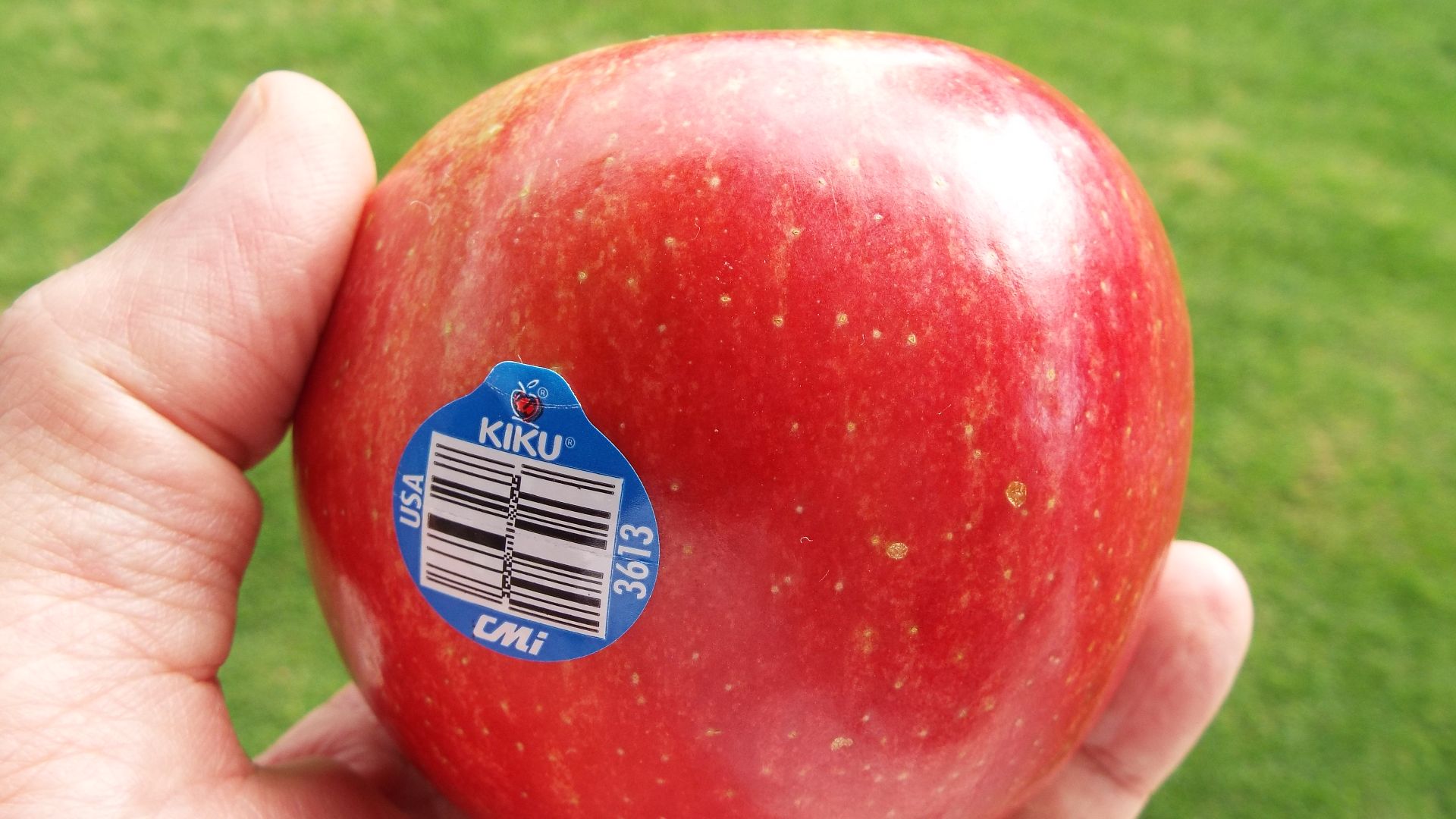 File:Starr-140210-3386-Malus pumila-Kiku fruit from Foodland-Hawea Pl Olinda-Maui (24609313344).jpg