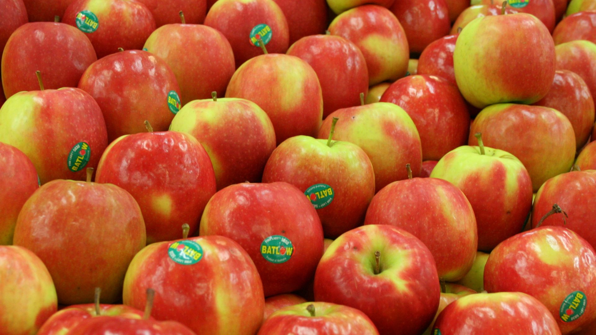 File:PinkLadyApples.JPG