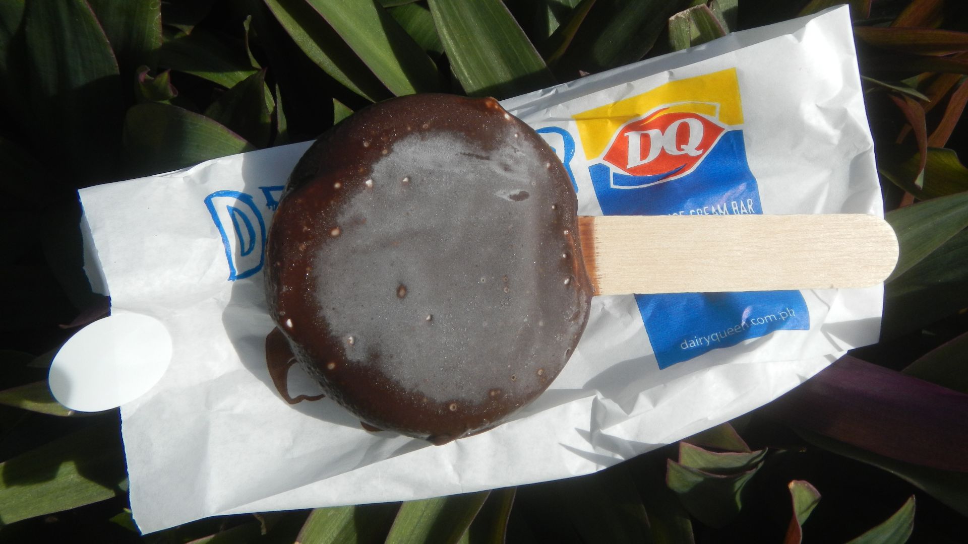 File:9864Dairy Queen products and Tuyo 06.jpg