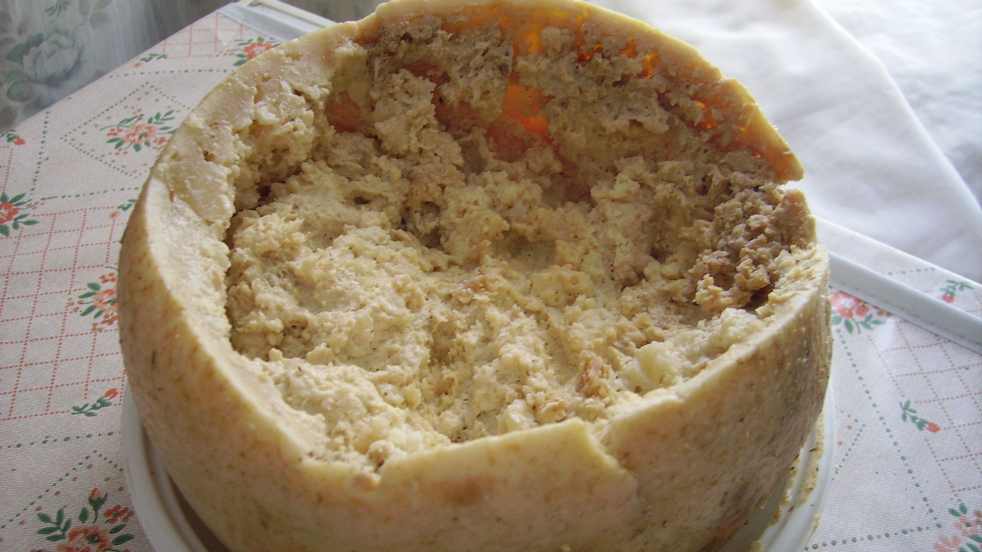 File:Casu Marzu cheese.jpg