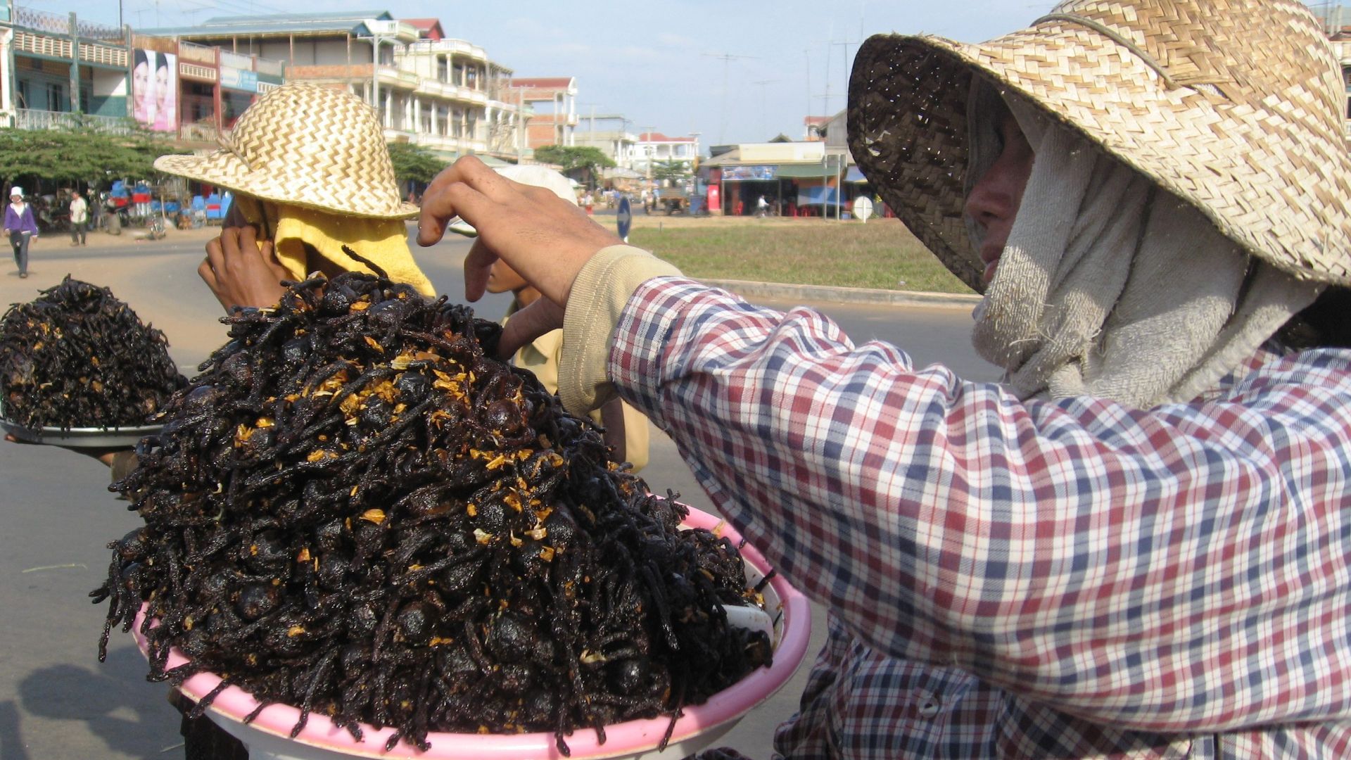 File:Fried tarantula Cambodia.jpg