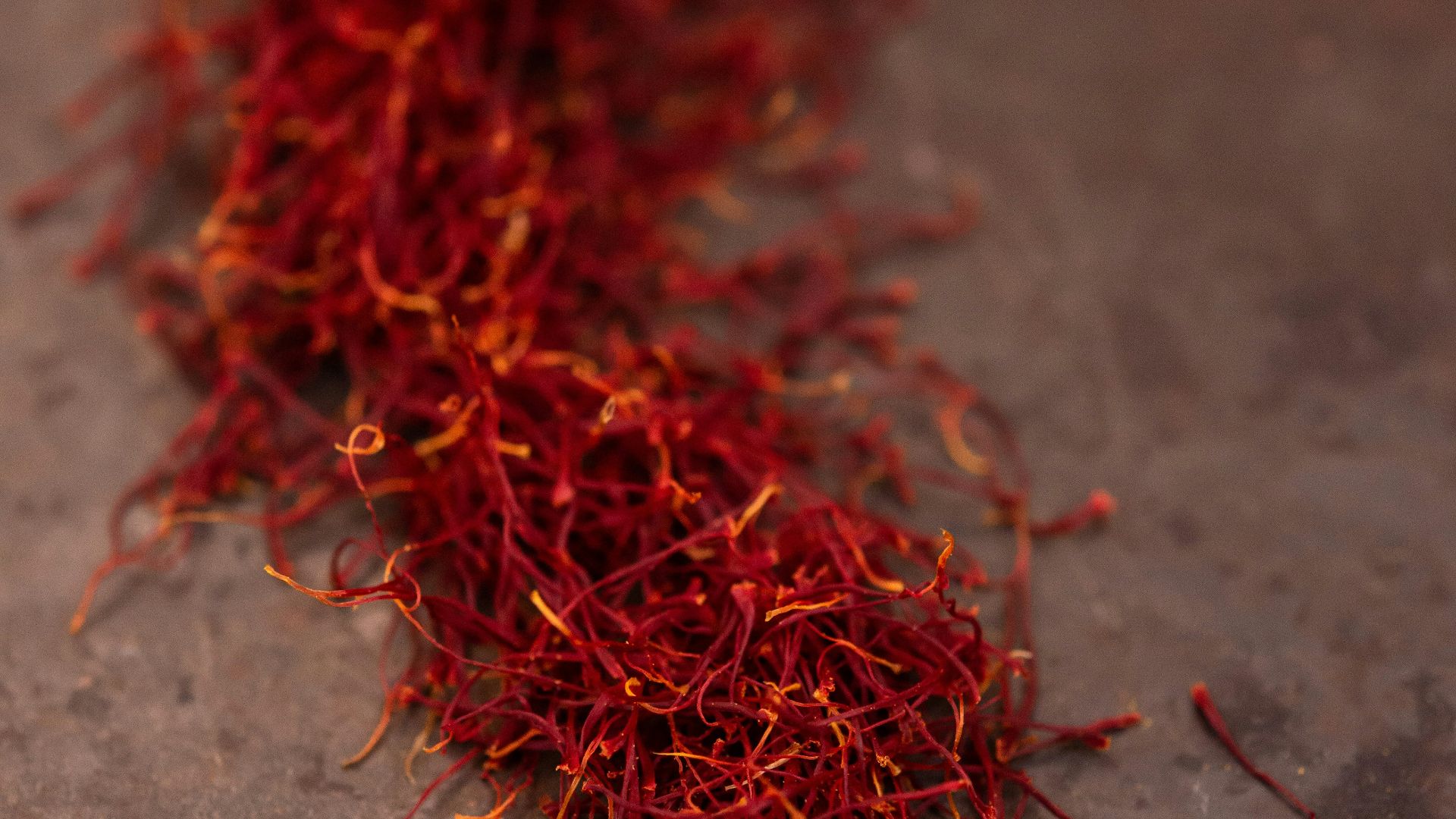 red and brown fur on gray concrete floor