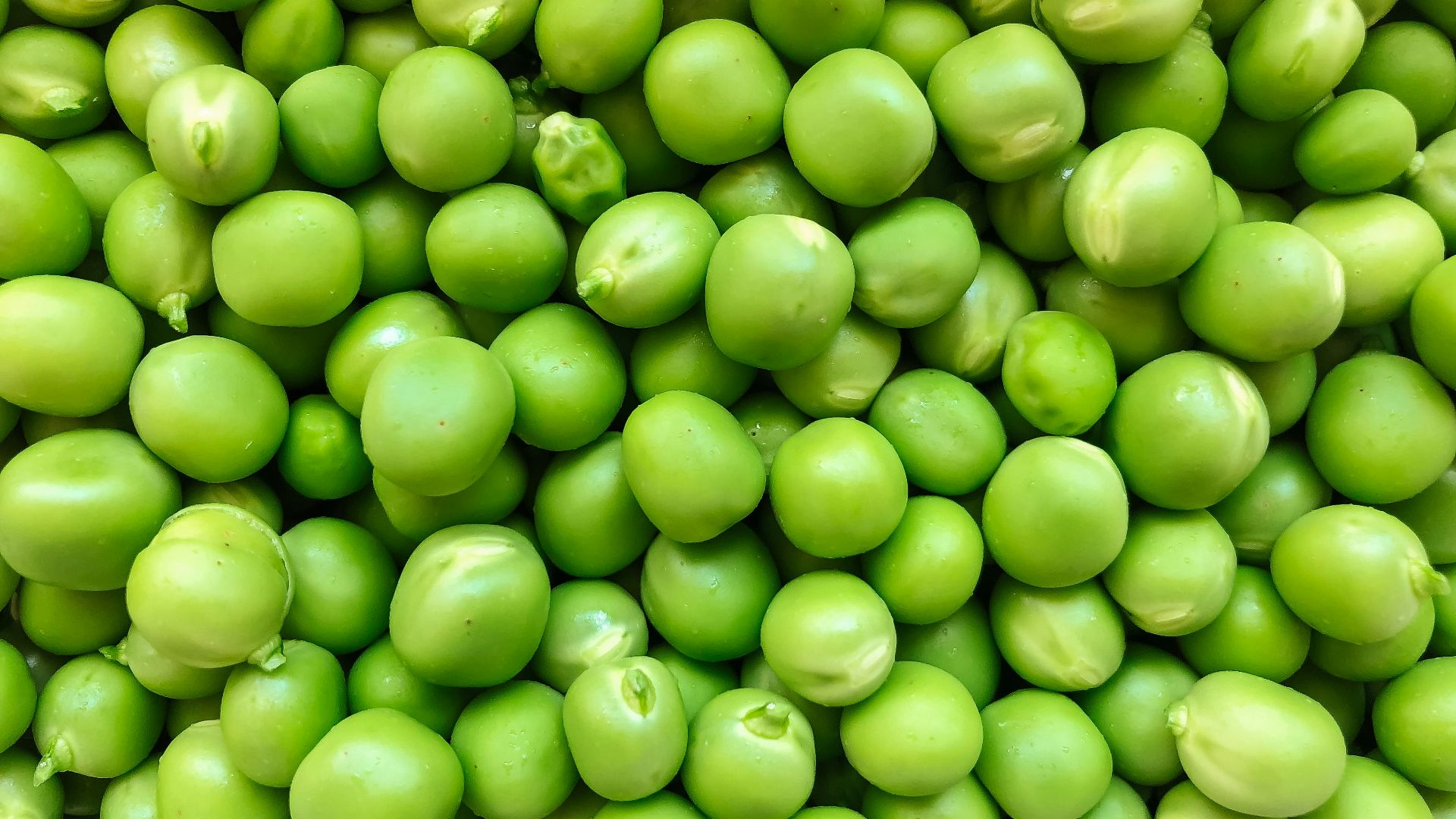 green round fruits in close up photography