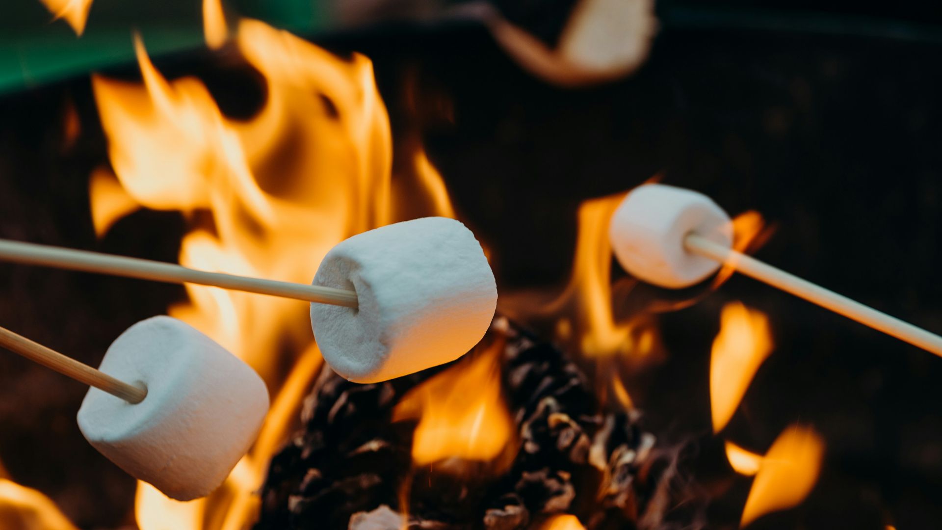 selective focus photography of marshmallows on fire pit