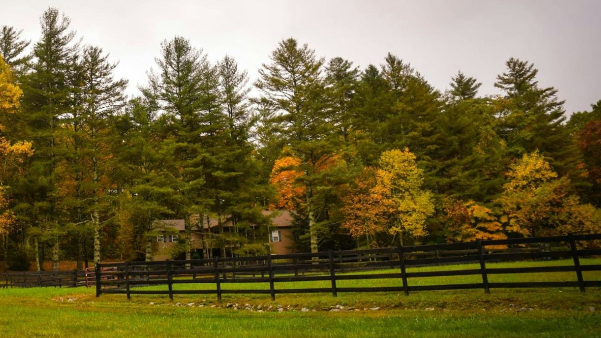 barn surrounded by trees