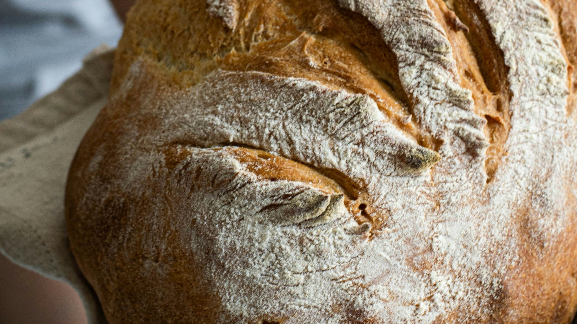 baked bread in closeup photography