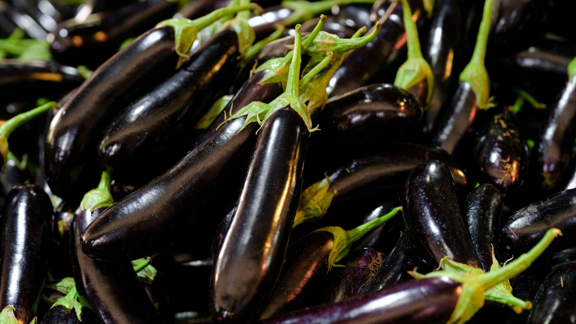 a pile of purple eggplant with green stems