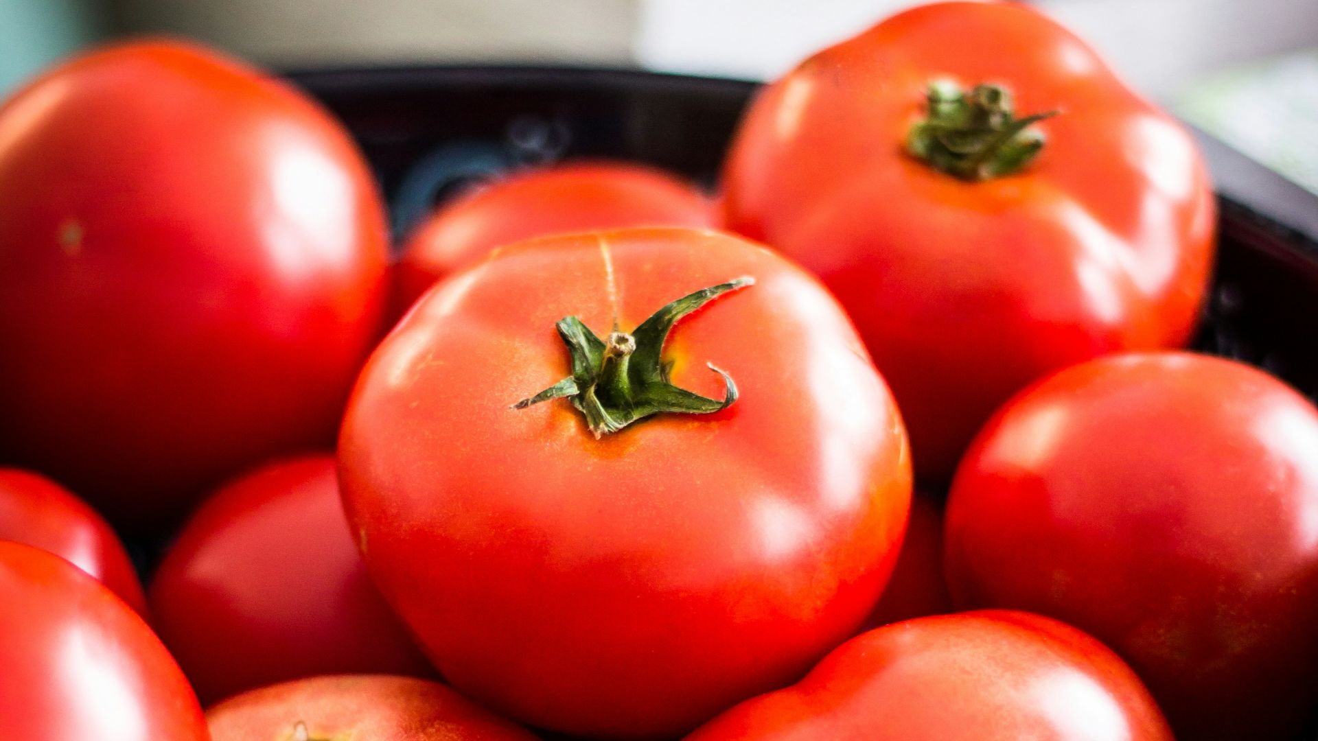 a bowl of red tomatoes