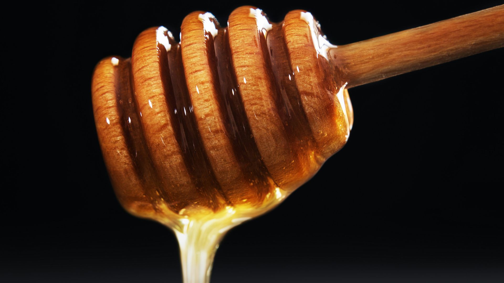 a close-up of a spoon