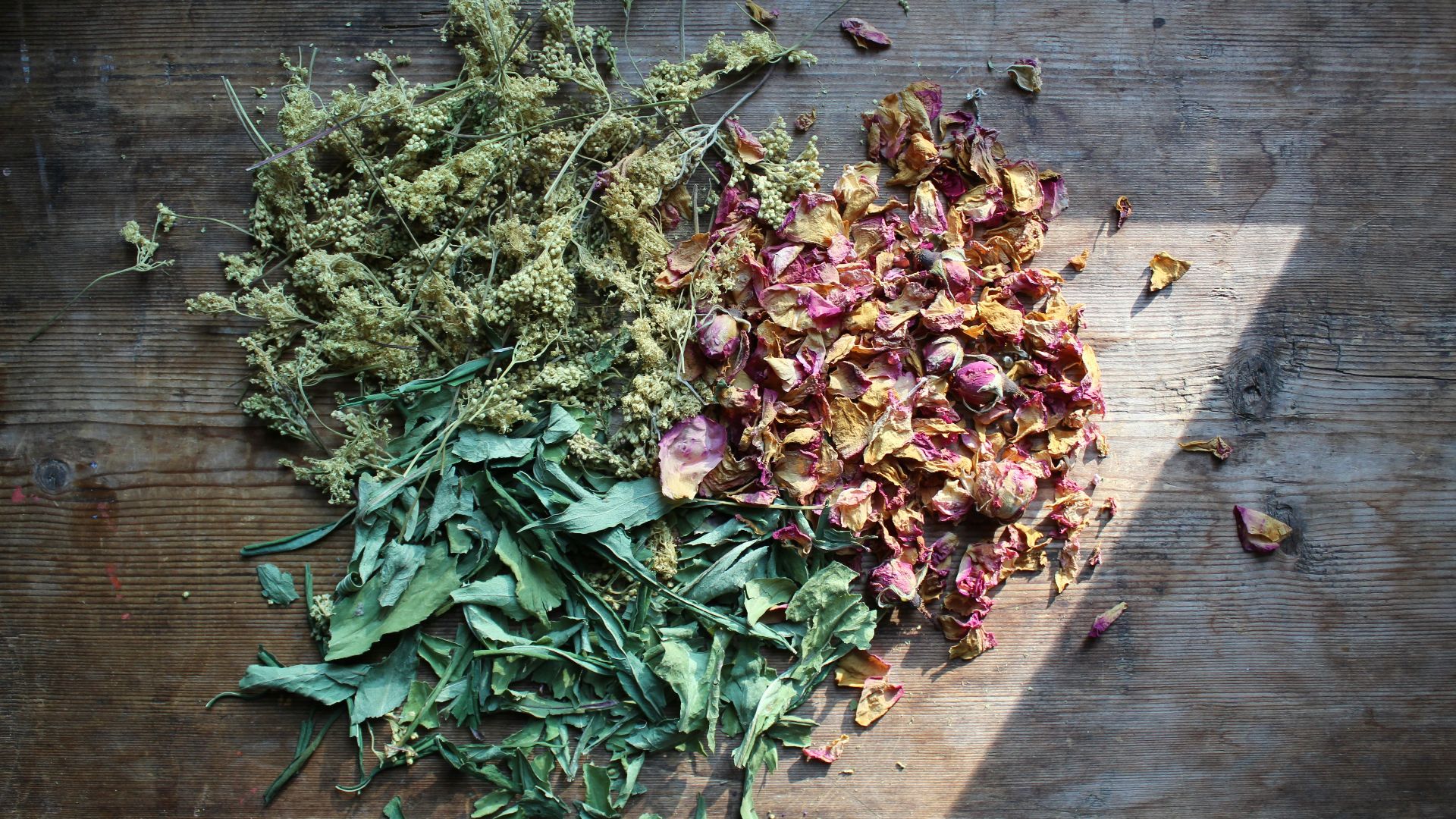 green and purple leaves