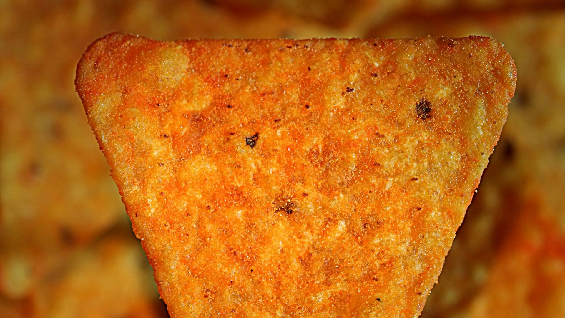 a close up of a slice of cheese pizza