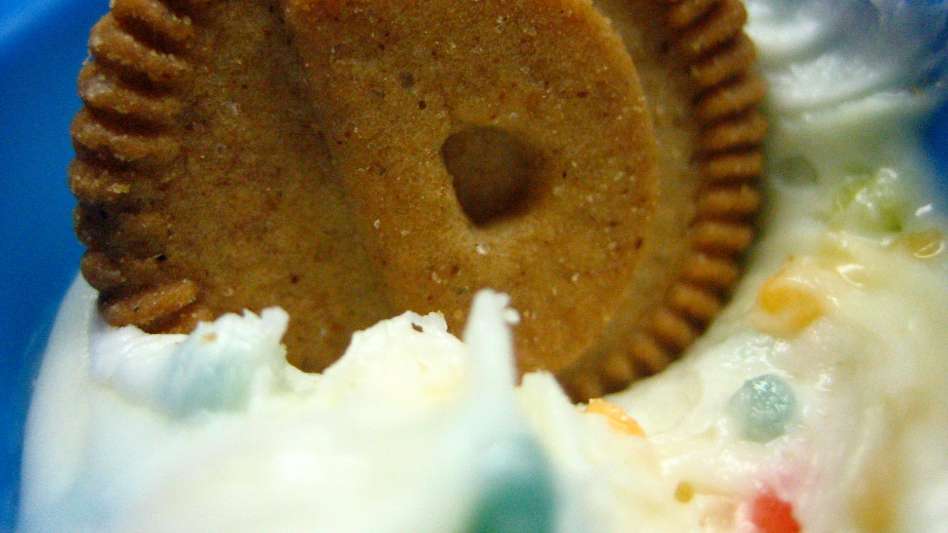 File:32. DUNKAROOS! (3626901761).jpg