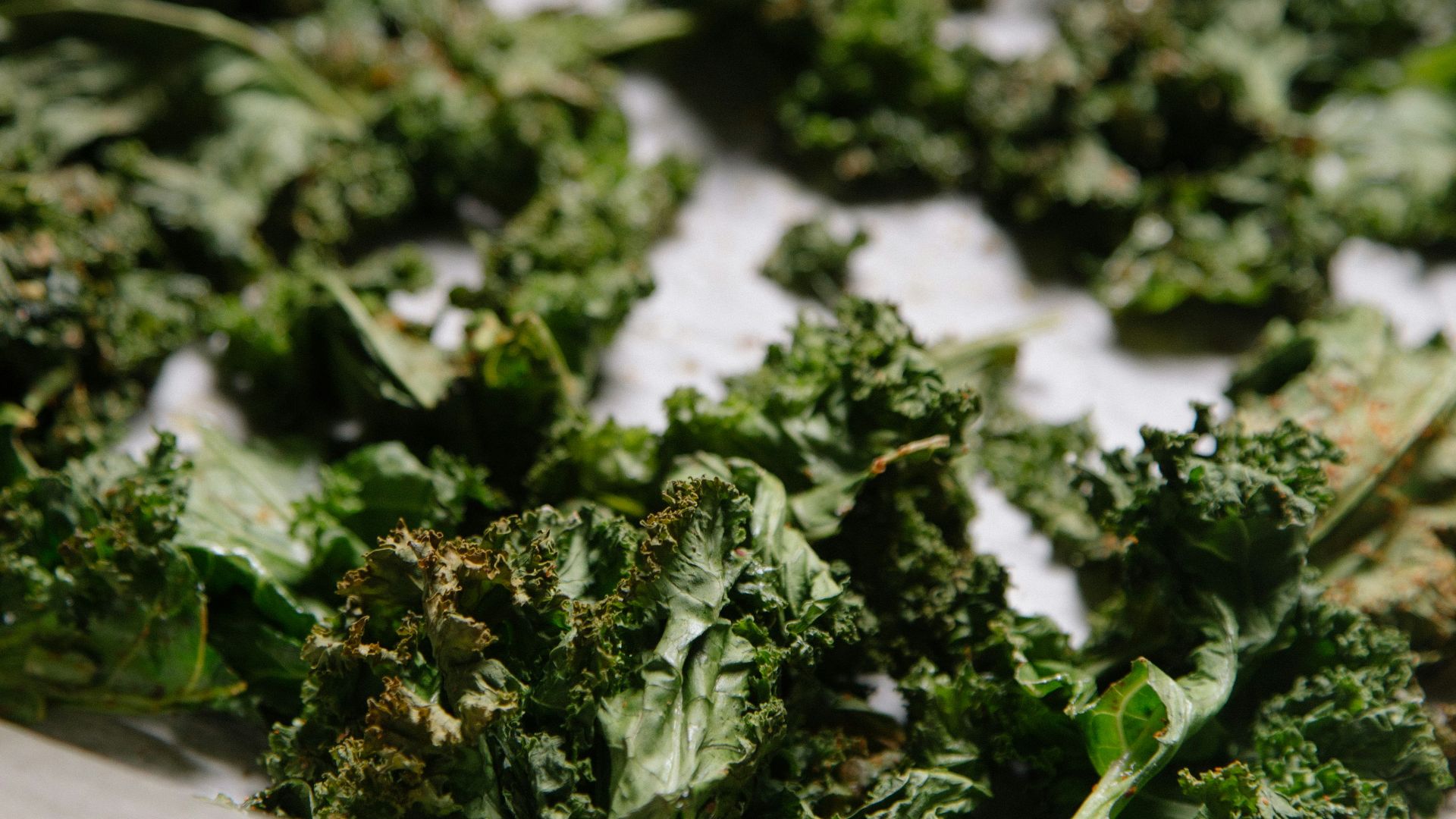 green vegetable plants