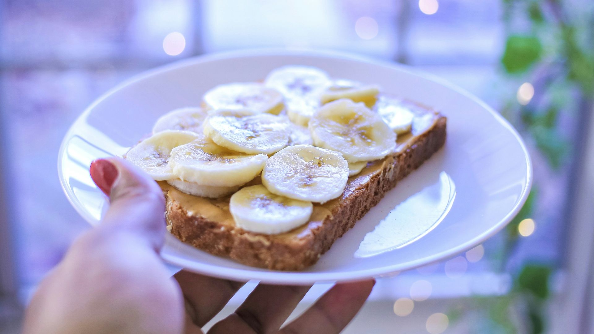 person holding brown bread on white ceramic plate