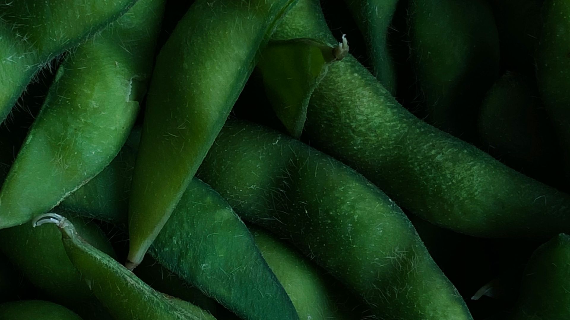a pile of green beans sitting next to each other