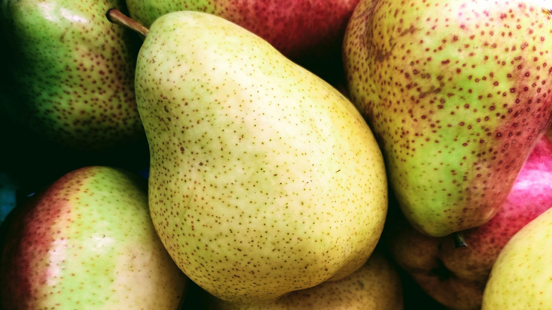 green and red apples and apples