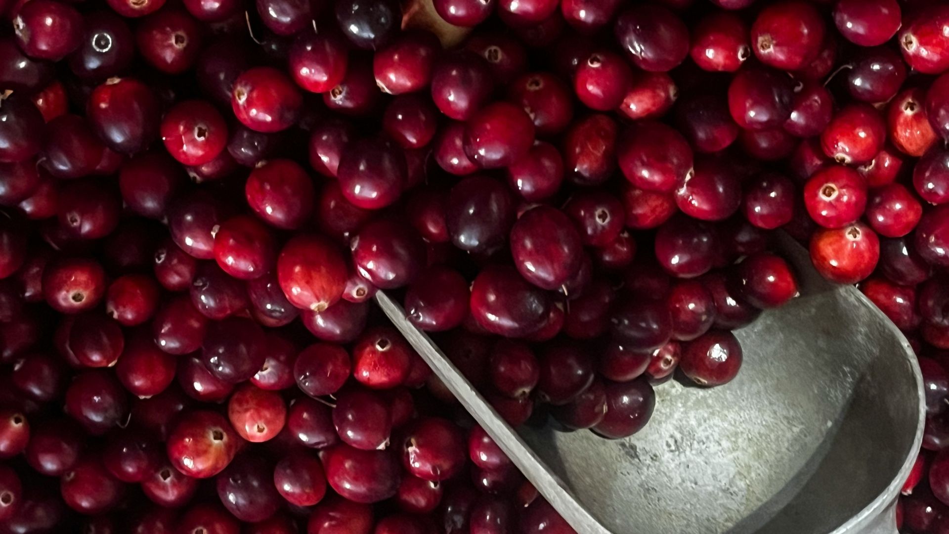 A scoop of cranberries is sitting on a table