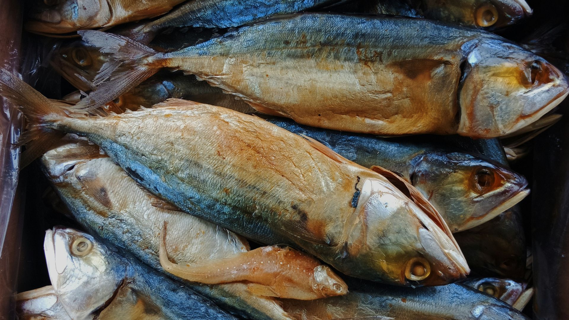 a box filled with fish sitting on top of a table