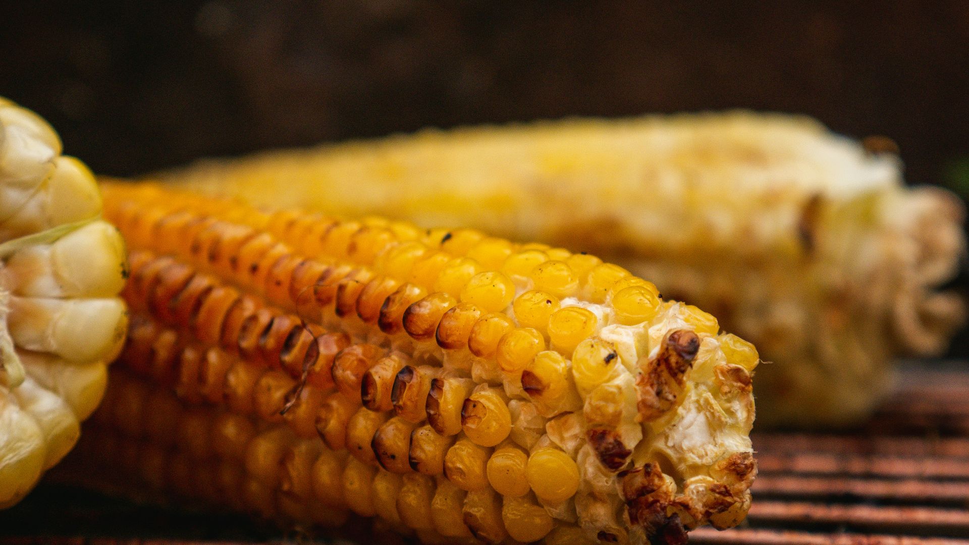 yellow corn on stainless steel tray